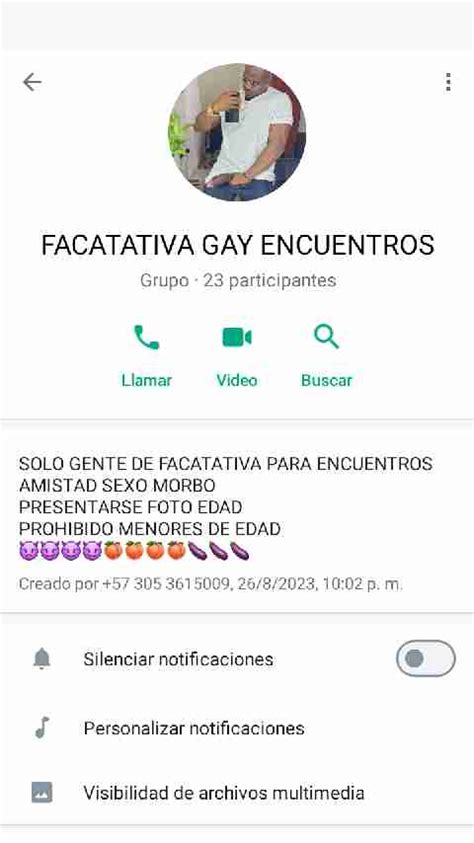 grupo de gay whatsapp|Chat Gay Latino